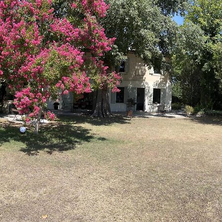 Alpilles Camargue Mas Falabrego Raphèle Kültér fotó