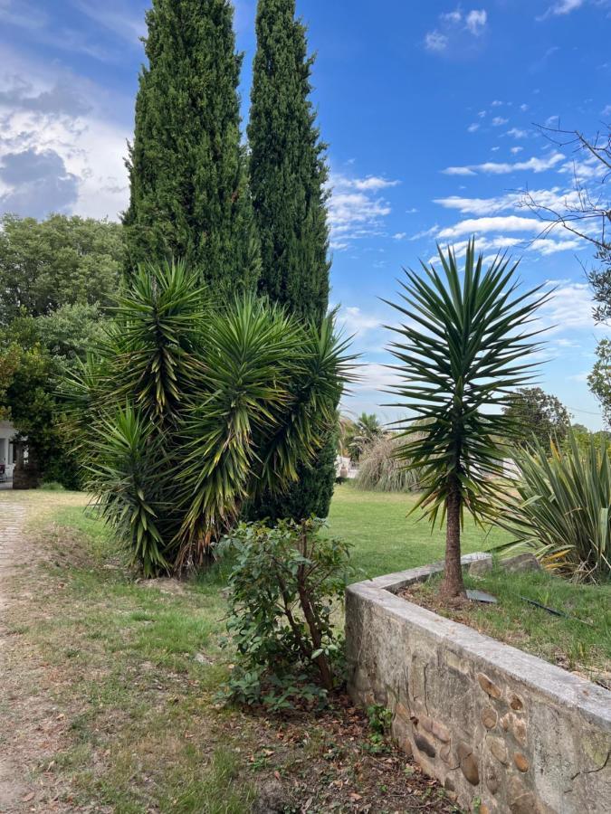 Alpilles Camargue Mas Falabrego Raphèle Kültér fotó